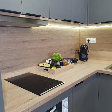 Luxury α2 Apartment Deskati
